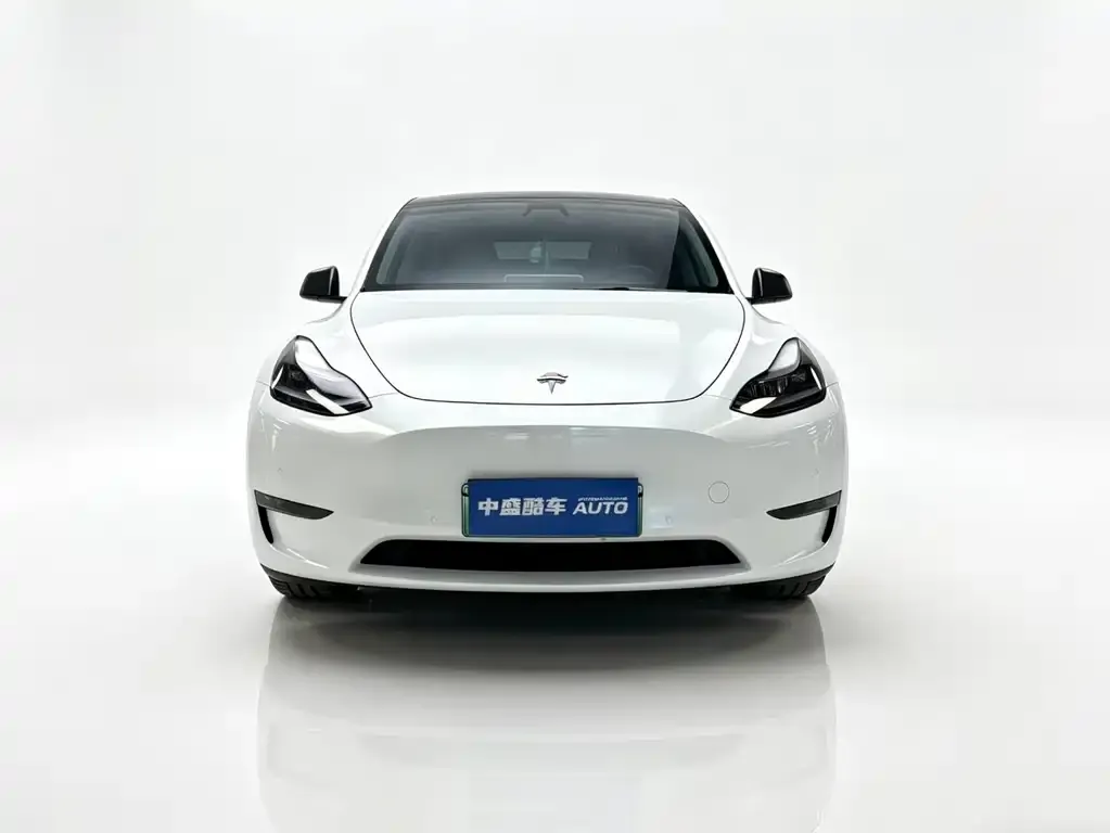 Tesla Model Y — фото 2