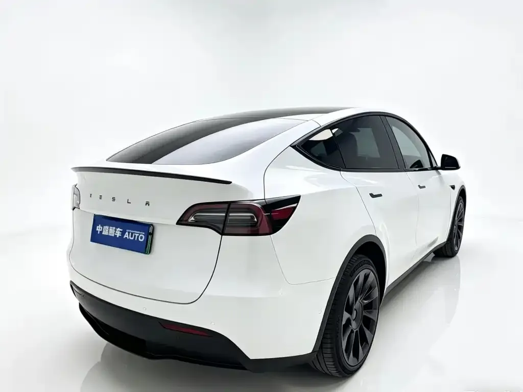 Tesla Model Y — фото 10