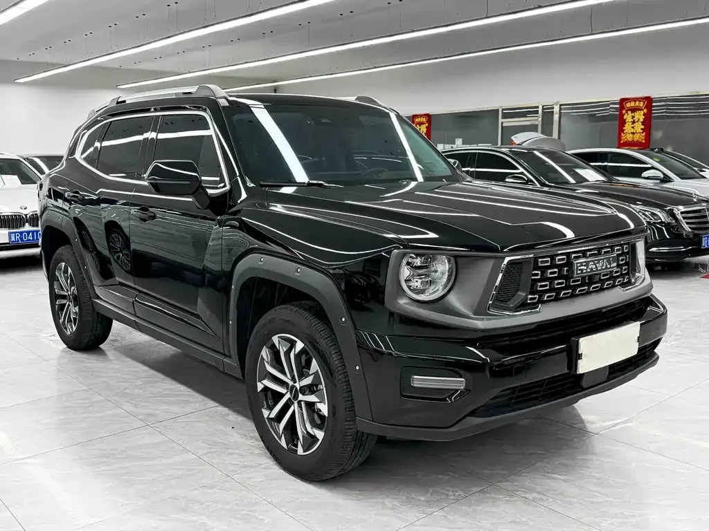 Haval H7 (Big Dog Plus) 2024 из CN, фото 8