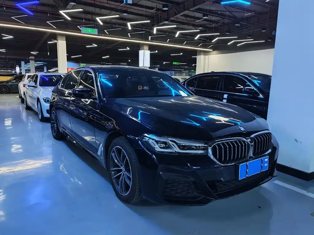 BMW 5 Series 2022 из CN, фото 9