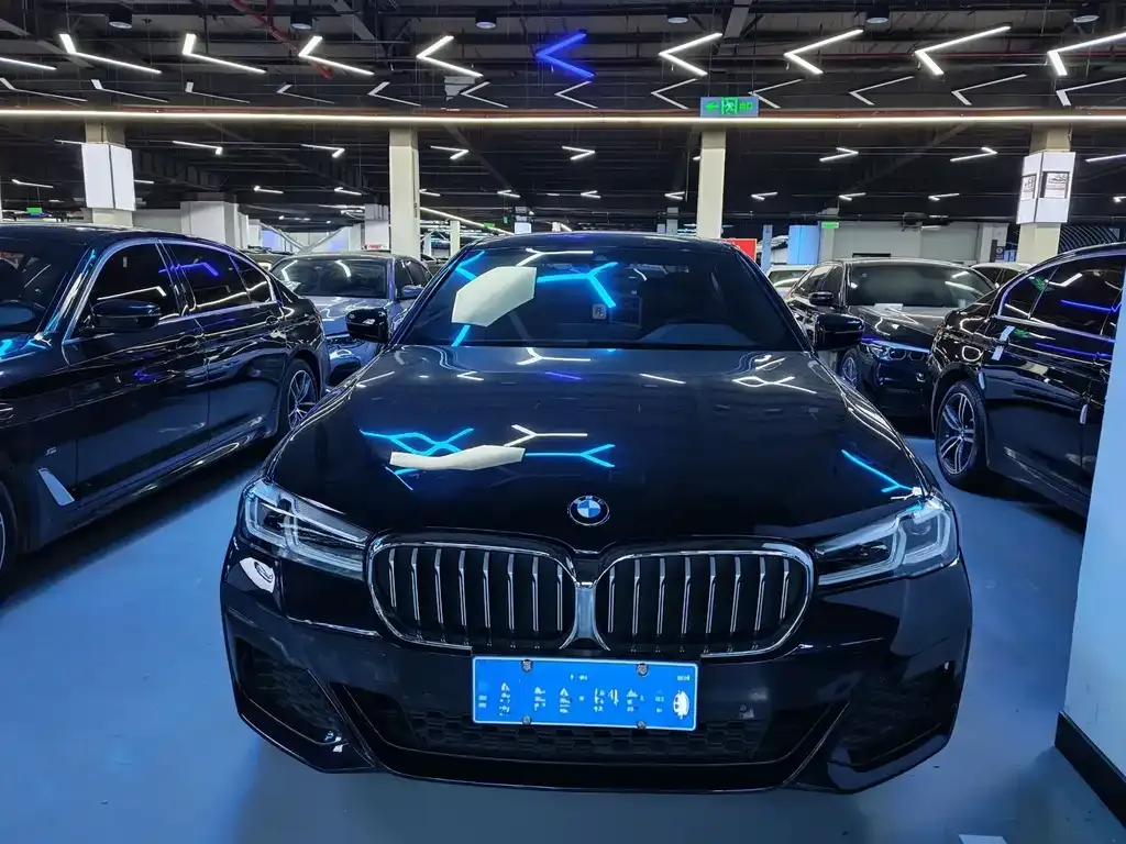 BMW 5 Series 2022 из CN, фото 10