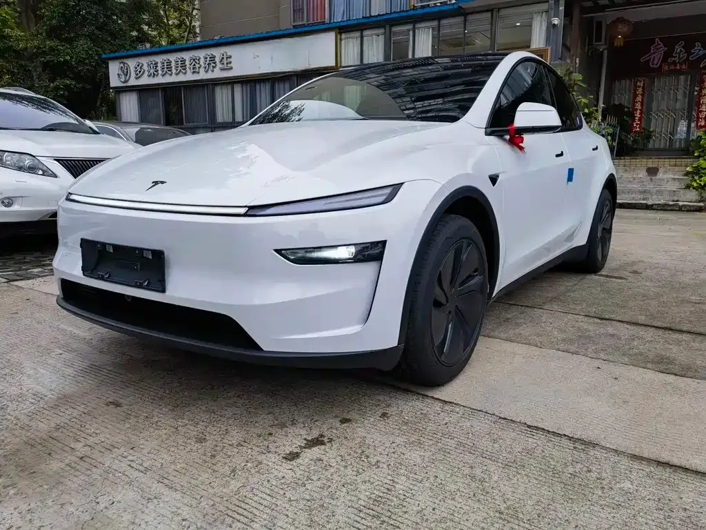 Tesla Model Y 2026 из CN, фото 1