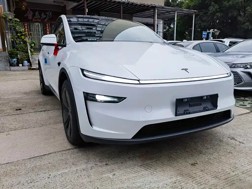 Tesla Model Y 2026 из CN, фото 8