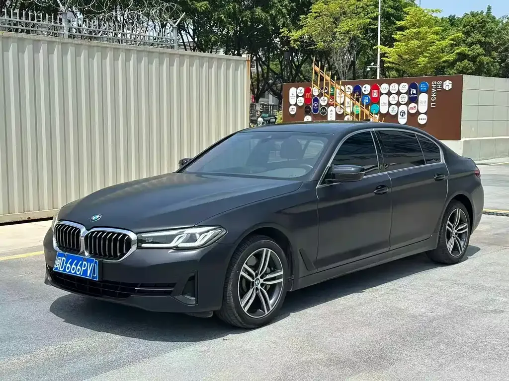 BMW 5 Series 2024 из CN, фото 7