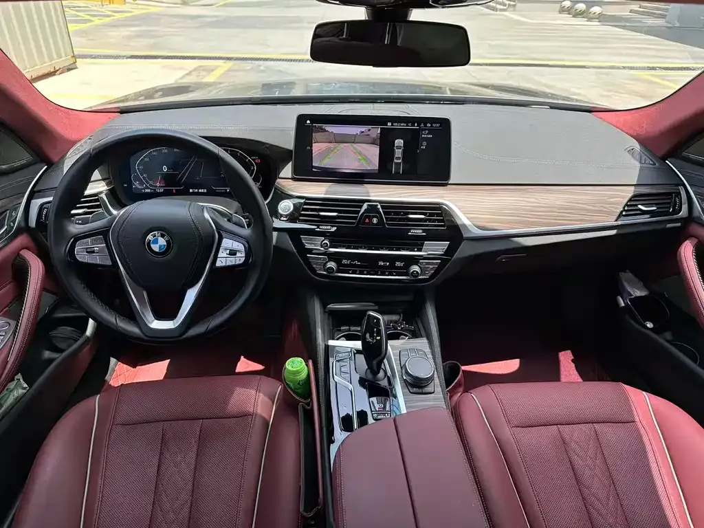BMW 5 Series 2024 из CN, фото 9