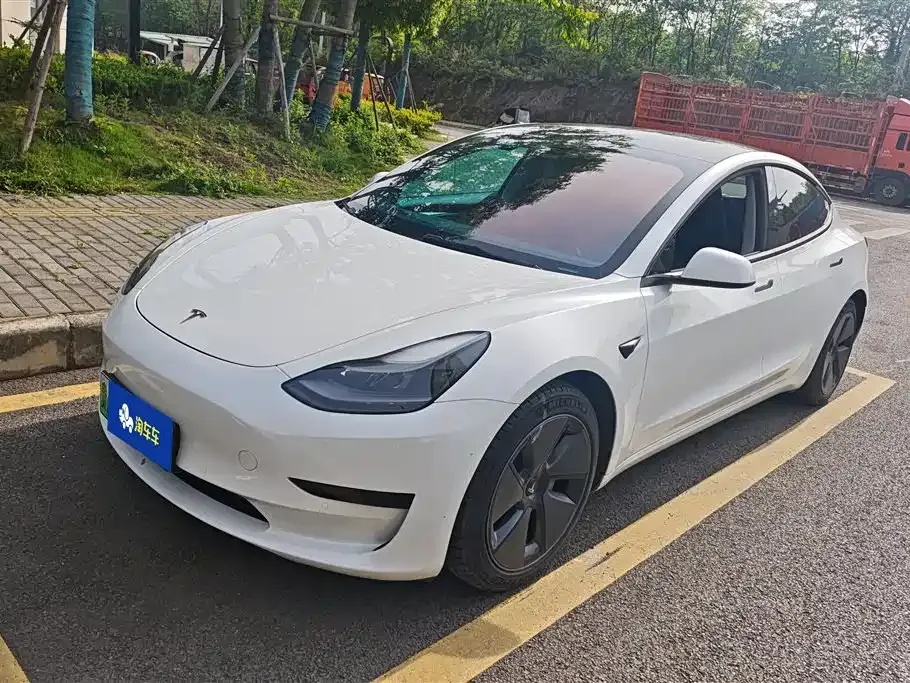 Tesla Model 3 2021 из CN, фото 1
