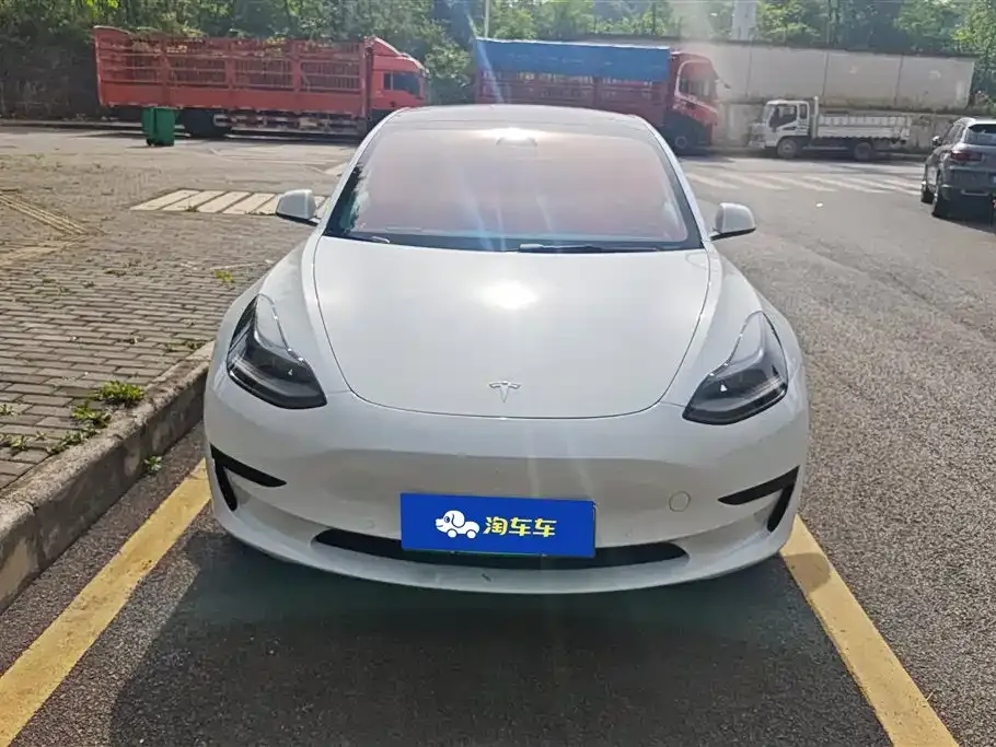 Tesla Model 3 2021 из CN, фото 7