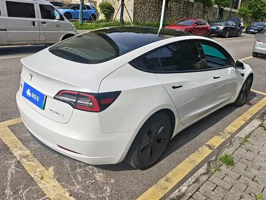 Tesla Model 3 2021 из CN, фото 6