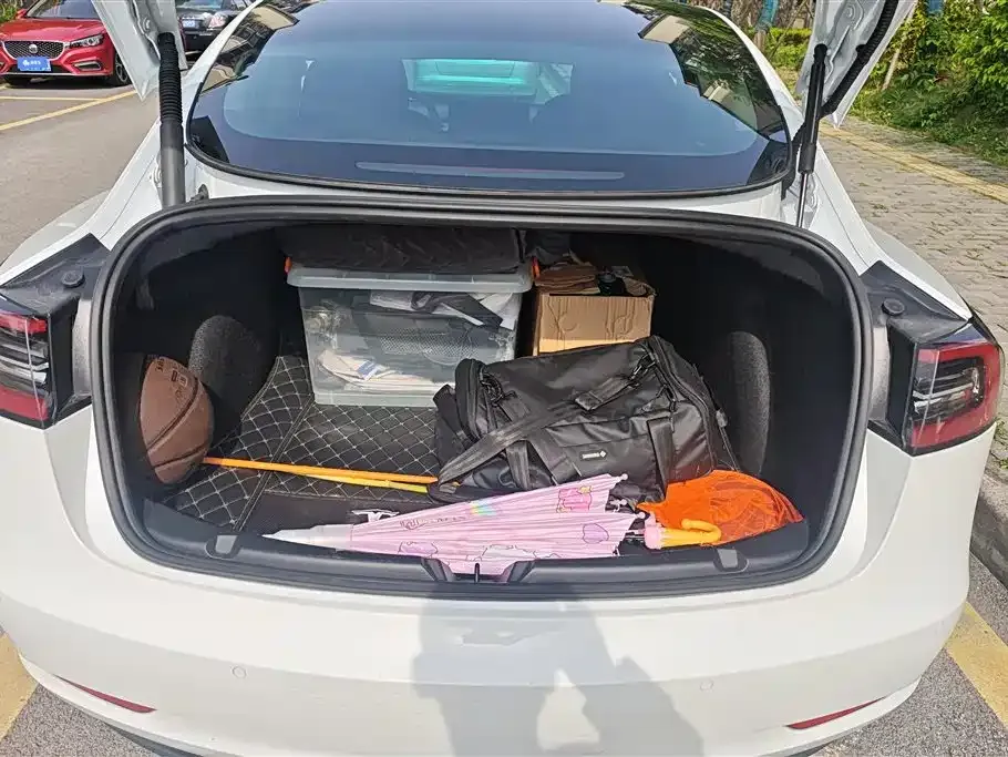 Tesla Model 3 2021 из CN, фото 4
