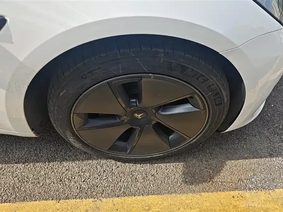 Tesla Model 3 2021 из CN, фото 2