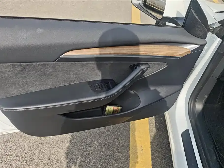 Tesla Model 3 2021 из CN, фото 3