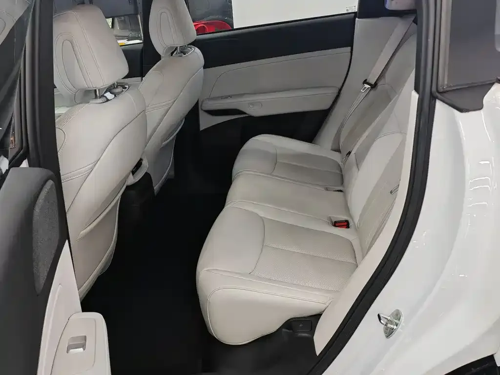 XPeng G6 2024 из CN, фото 2