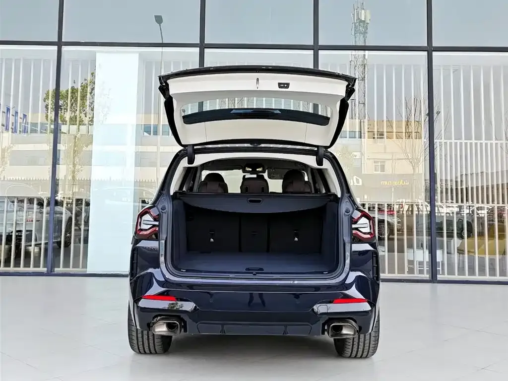 BMW X3 2024 из CN, фото 6
