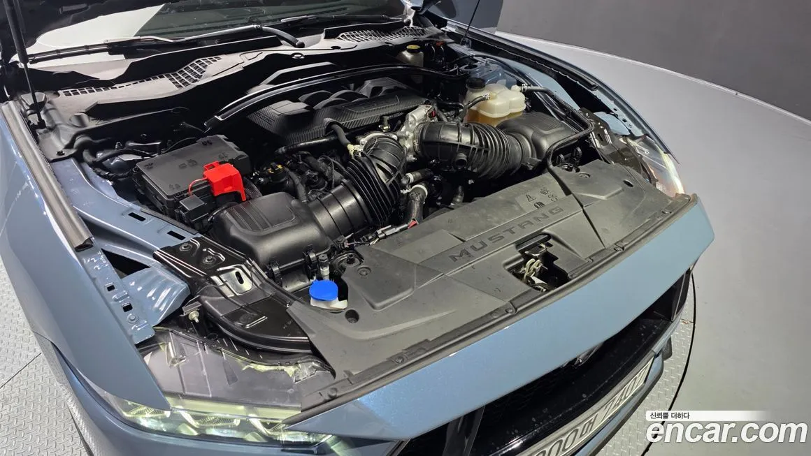 Ford Mustang 2024 из KR, фото 10