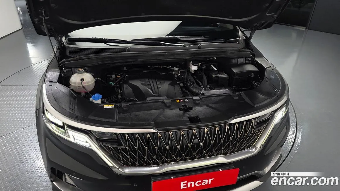 Kia Carnival — фото 10