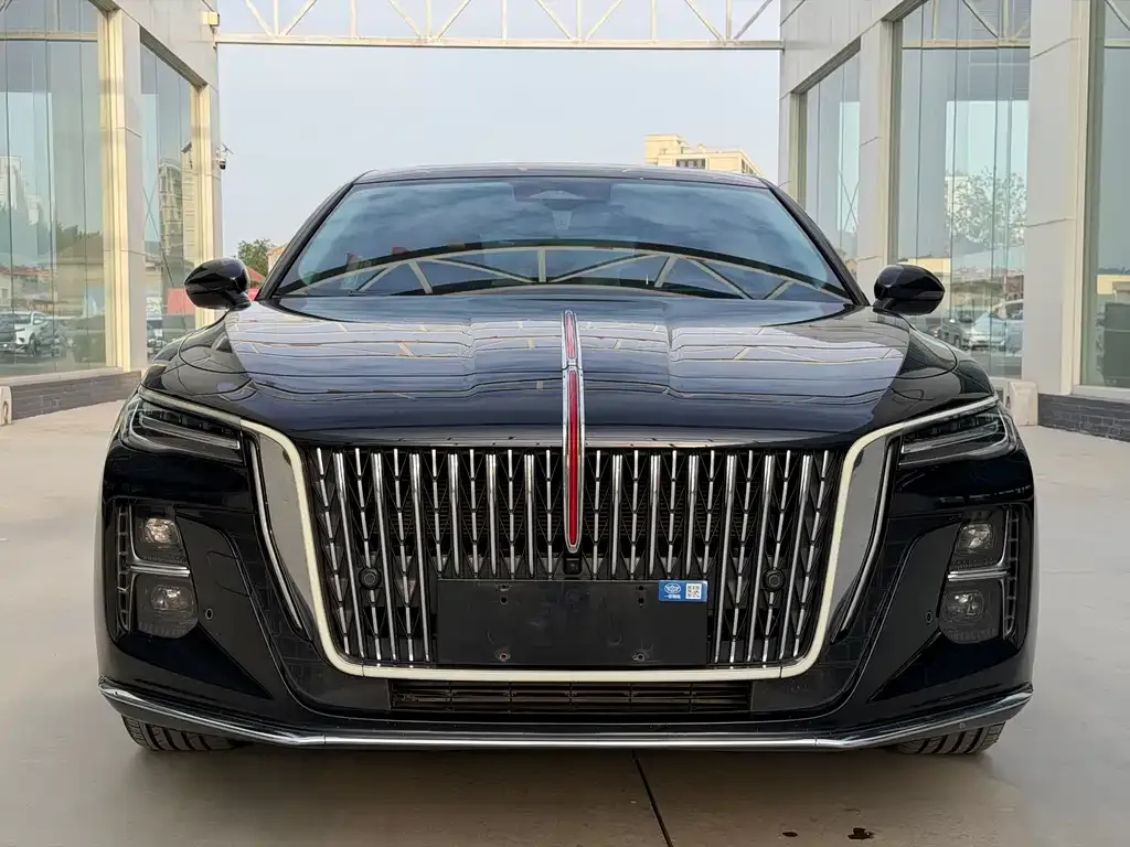 Hongqi H5 2024 из CN, фото 4
