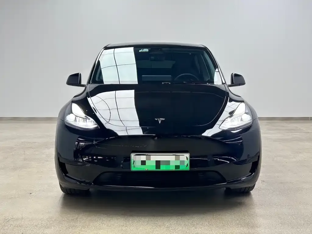 Tesla Model Y 2022 из CN, фото 2