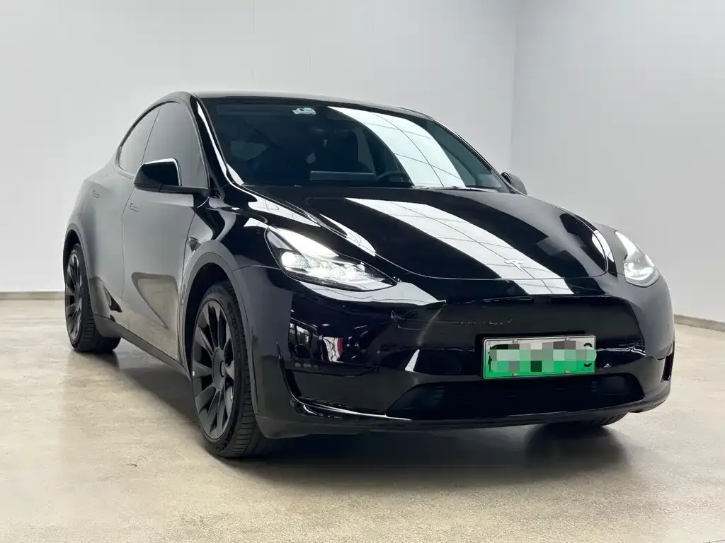 Tesla Model Y 2022 из CN, фото 6