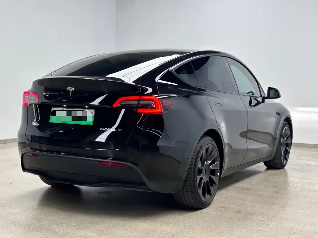 Tesla Model Y 2022 из CN, фото 4