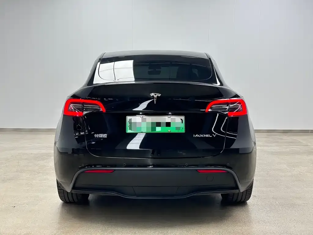 Tesla Model Y 2022 из CN, фото 3