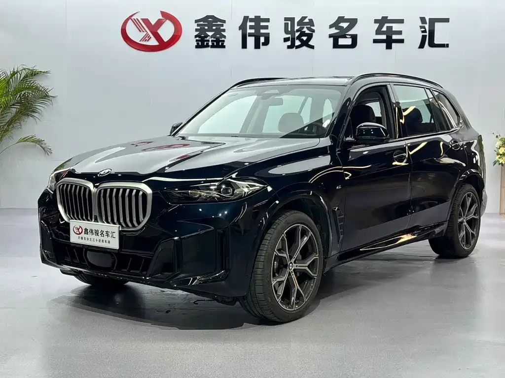BMW X5 2025 из CN, фото 3