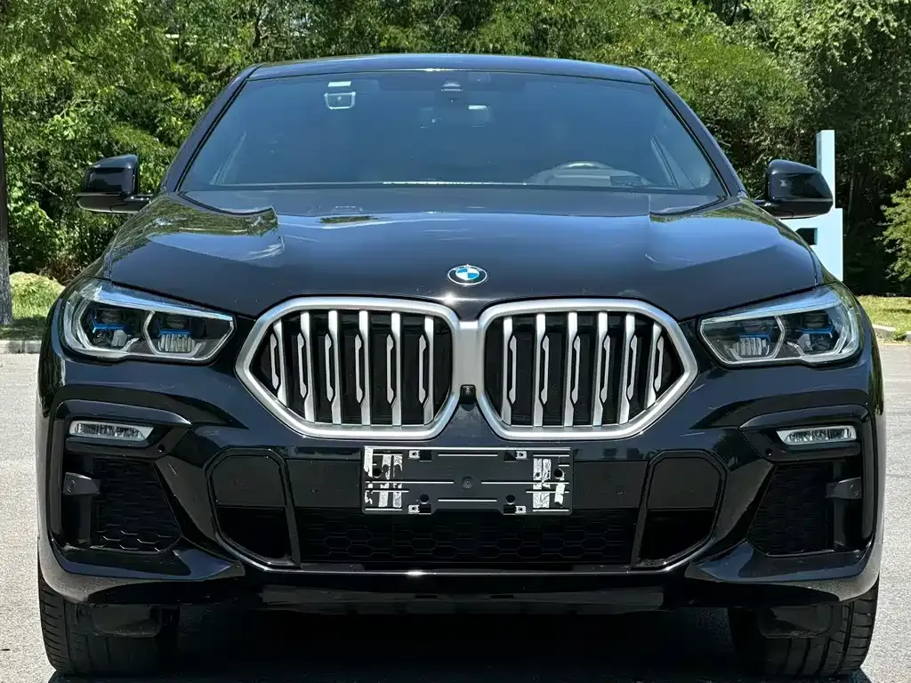 BMW X6 2021 из CN, фото 3