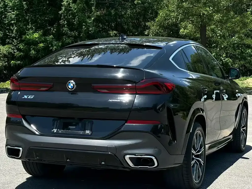 BMW X6 2021 из CN, фото 7