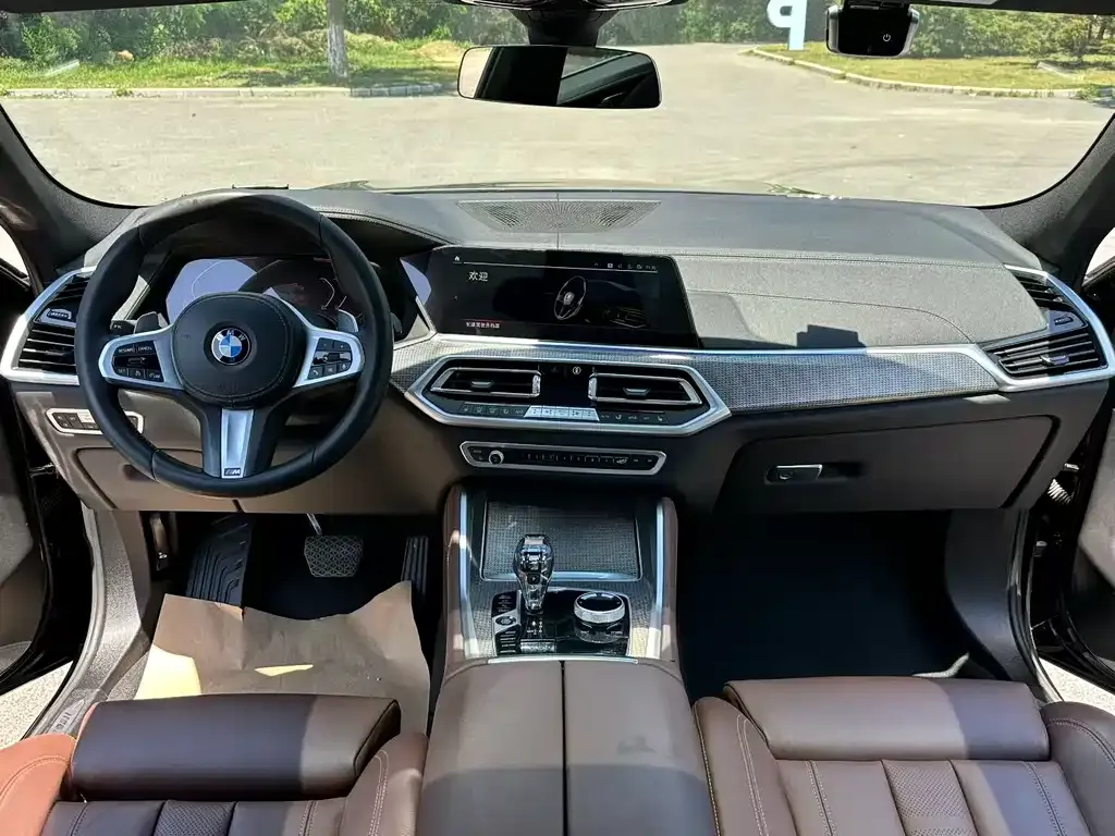 BMW X6 2021 из CN, фото 4
