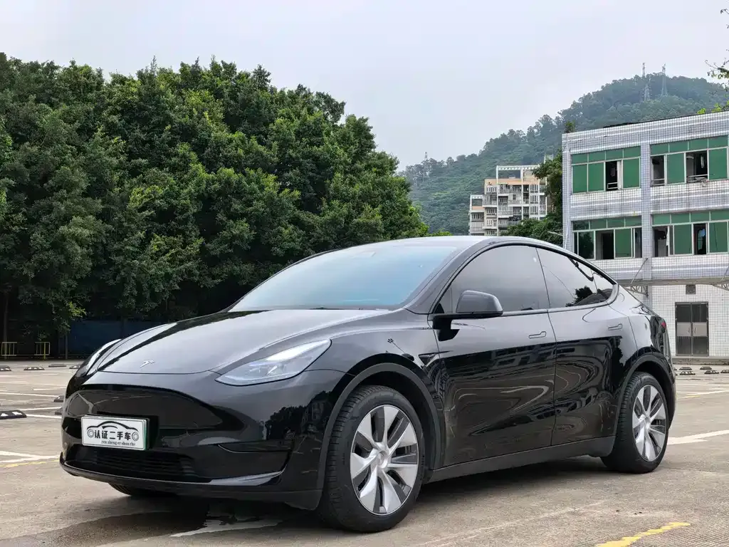 Tesla Model Y — фото 1