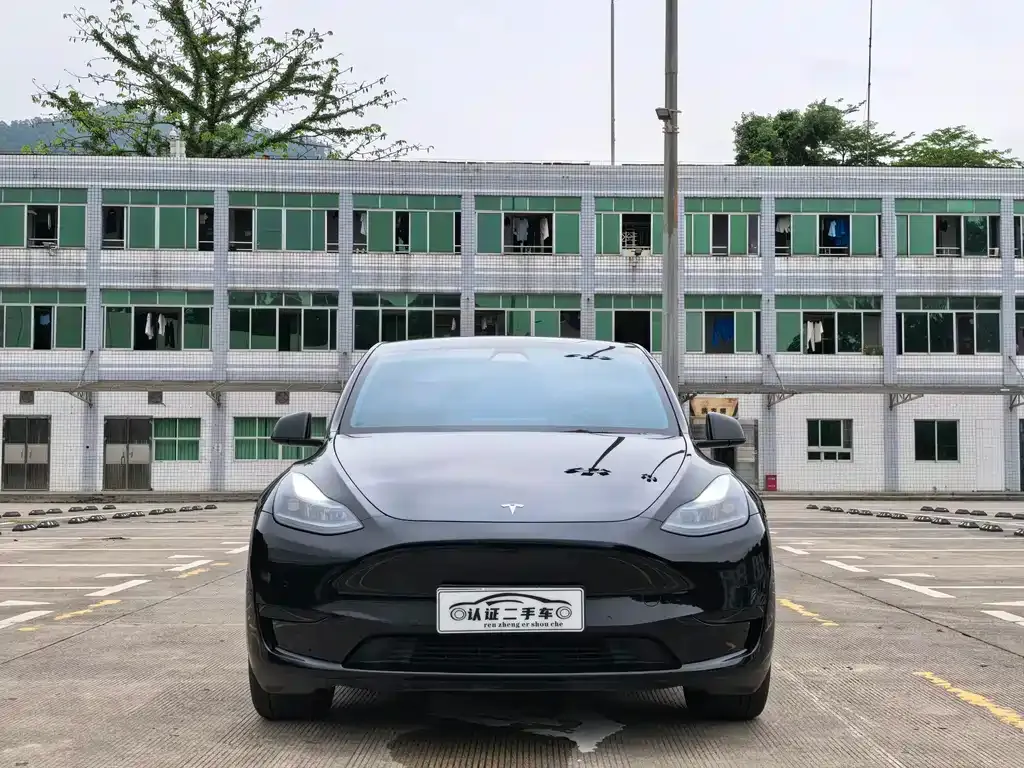 Tesla Model Y — фото 10
