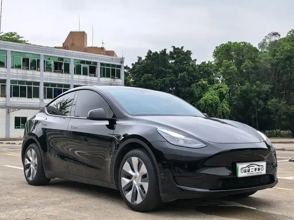 Tesla Model Y — фото 8