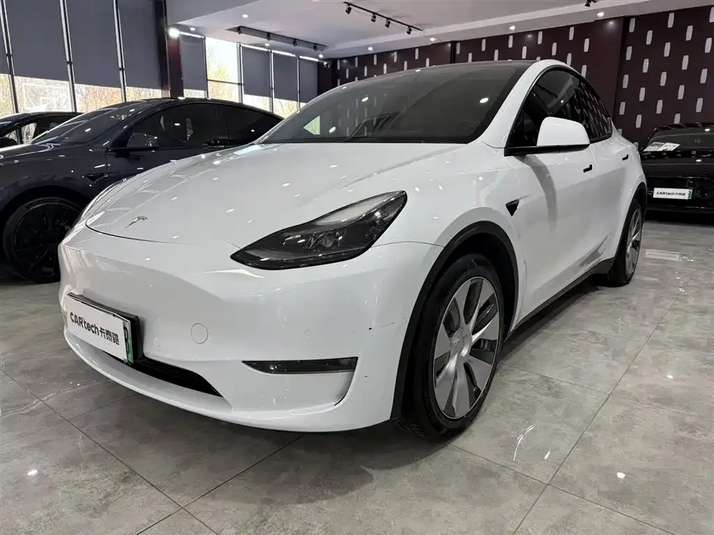 Tesla Model Y 2021 из CN, фото 1