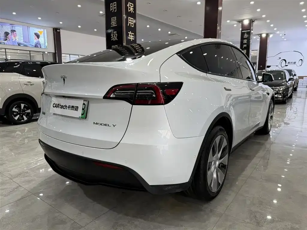 Tesla Model Y 2021 из CN, фото 5