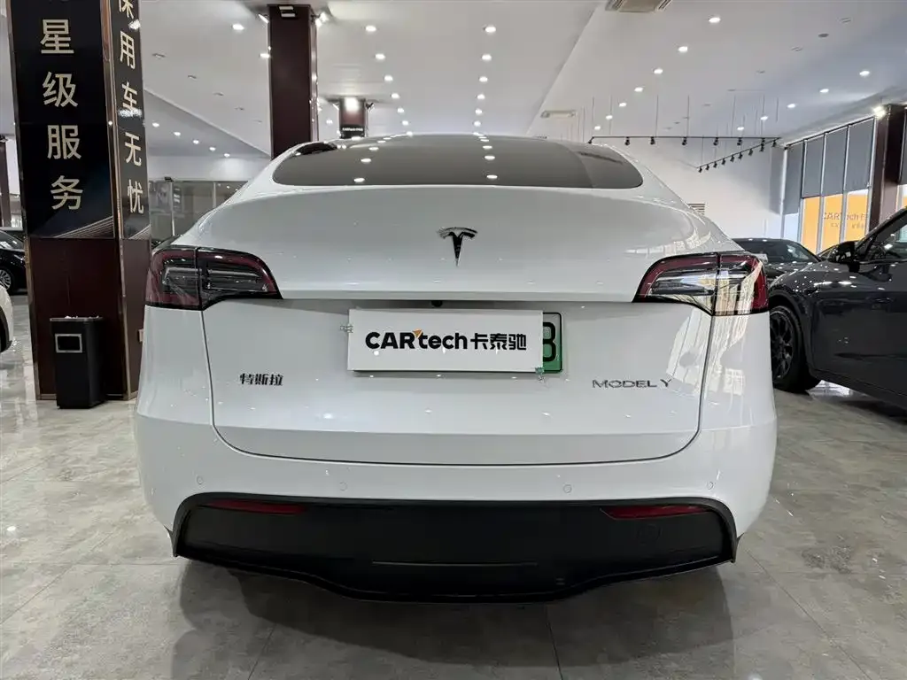 Tesla Model Y 2021 из CN, фото 7