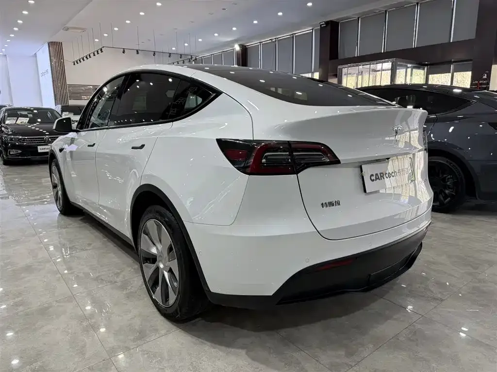 Tesla Model Y 2021 из CN, фото 6