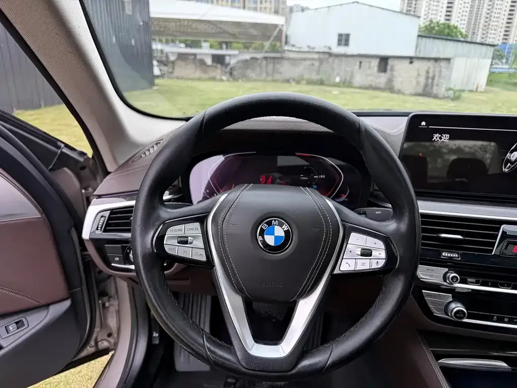BMW 5 Series 2021 из CN, фото 8