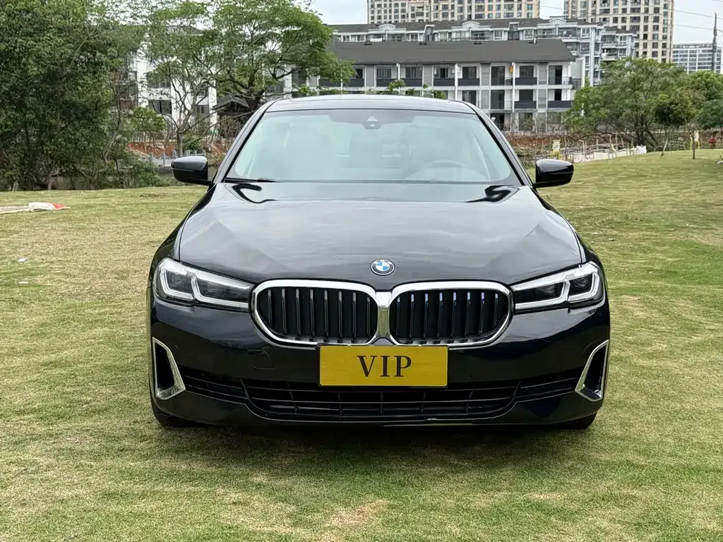 BMW 5 Series 2021 из CN, фото 9
