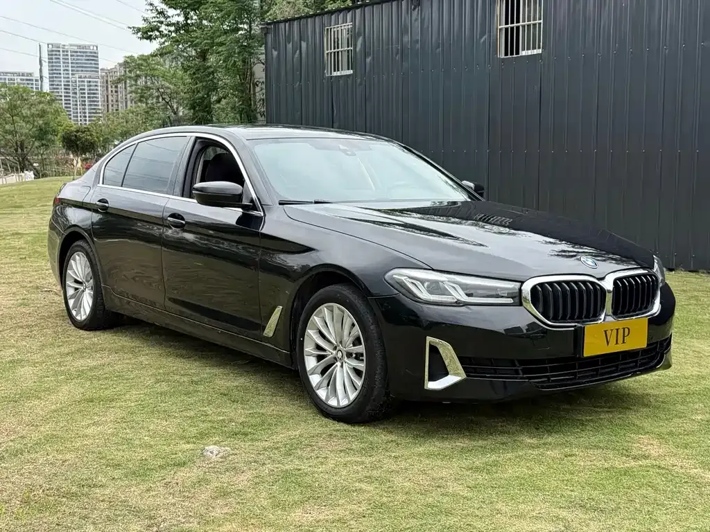 BMW 5 Series 2021 из CN, фото 10