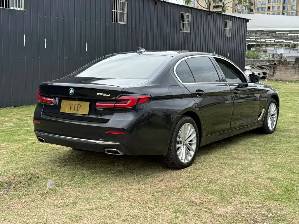 BMW 5 Series 2021 из CN, фото 5