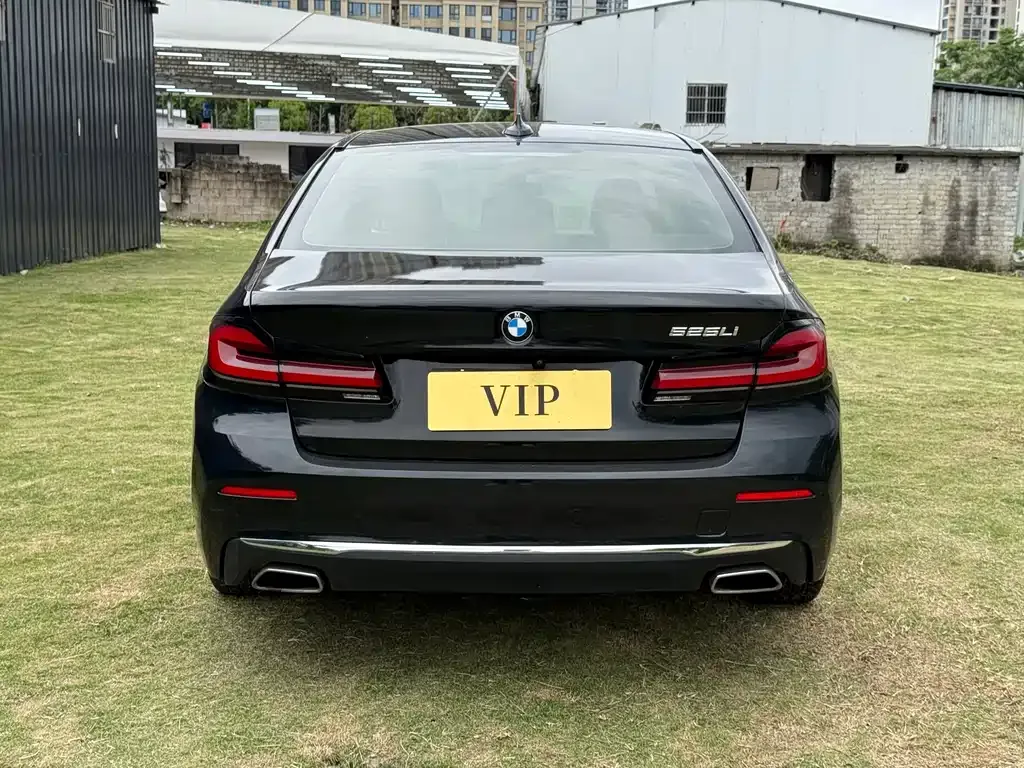 BMW 5 Series 2021 из CN, фото 6