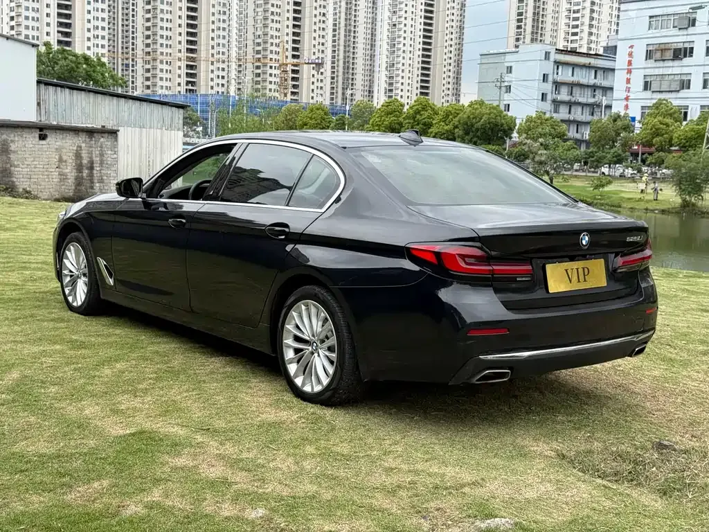 BMW 5 Series 2021 из CN, фото 7