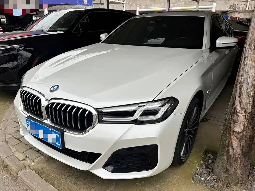 BMW 5 Series 2022 из CN, фото 1