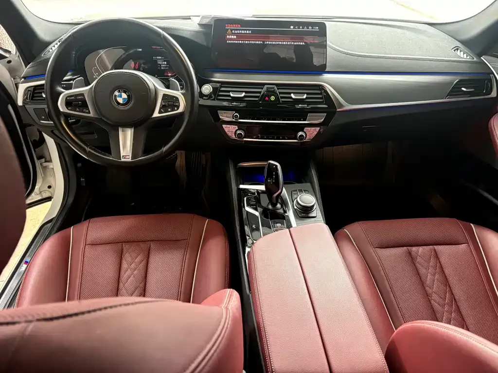 BMW 5 Series 2022 из CN, фото 8