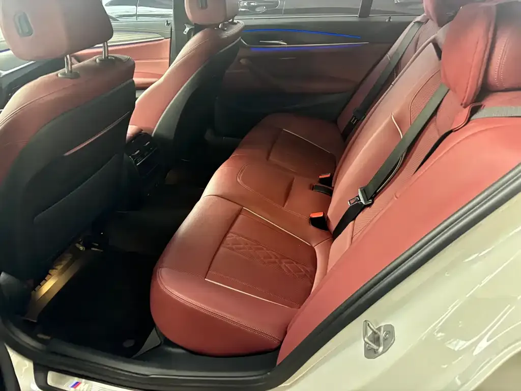 BMW 5 Series 2022 из CN, фото 4