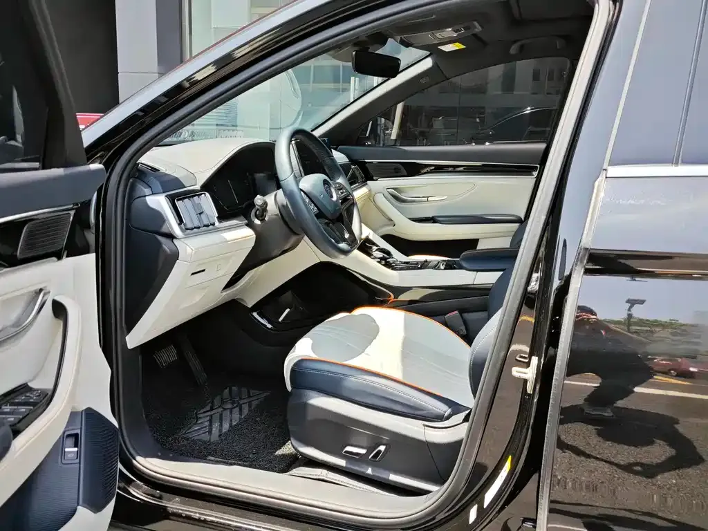BYD PLUS New Energy 2023 из CN, фото 6