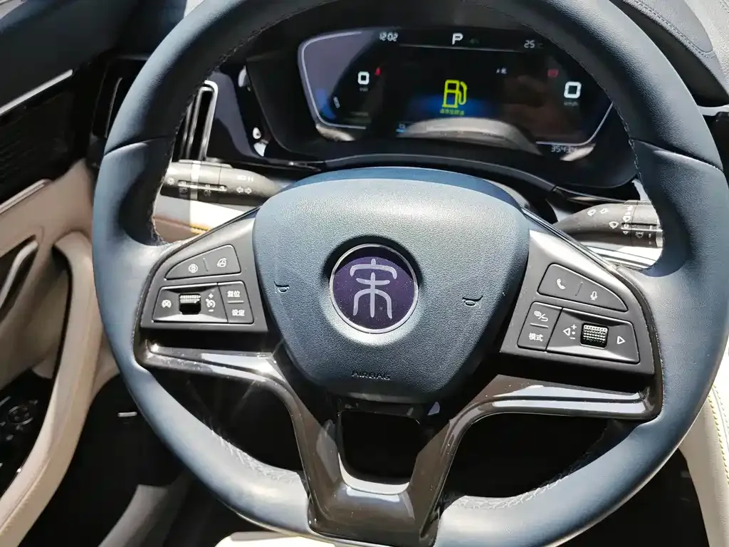 BYD PLUS New Energy 2023 из CN, фото 5