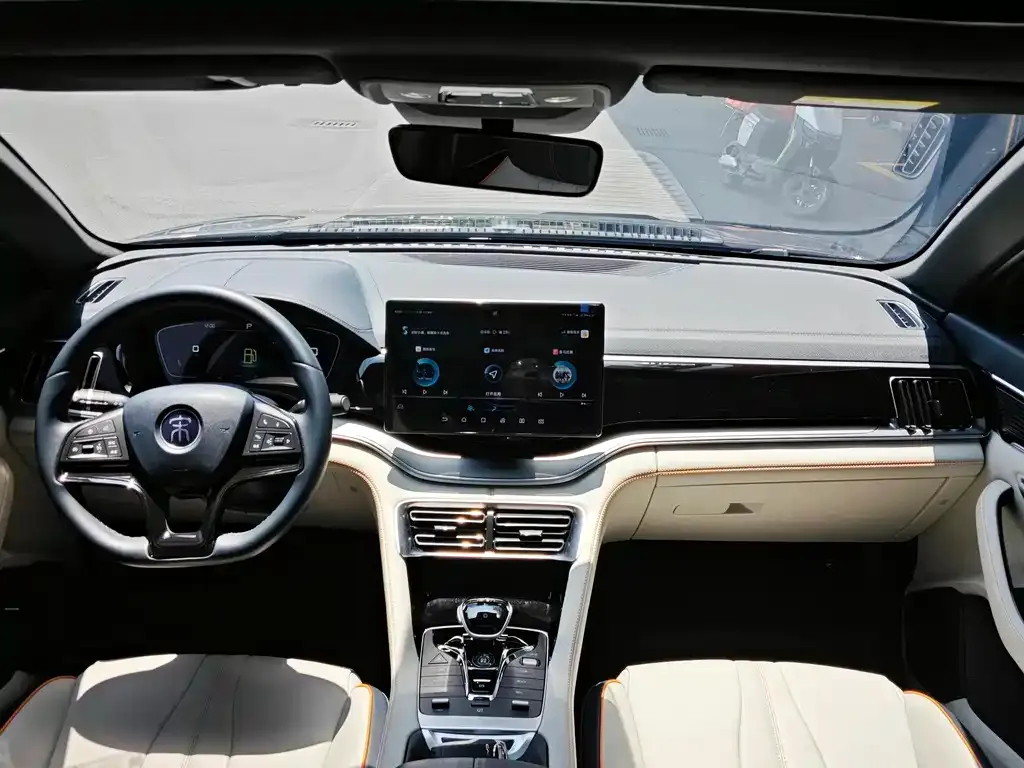 BYD PLUS New Energy 2023 из CN, фото 3