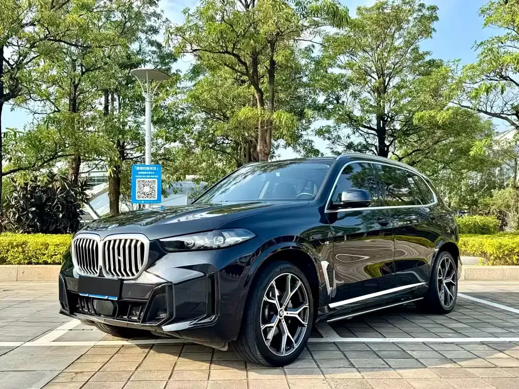 BMW X5 2024 из CN, фото 1