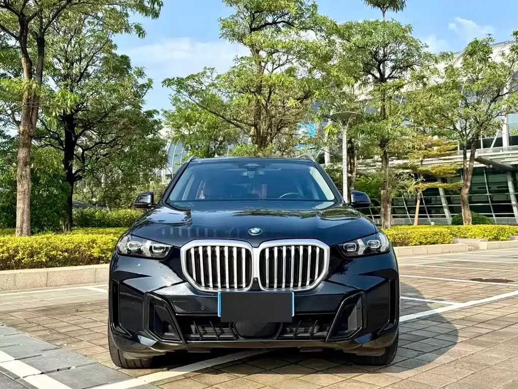BMW X5 2024 из CN, фото 6