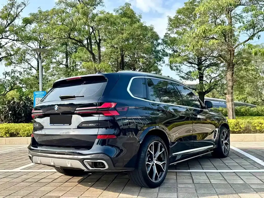 BMW X5 2024 из CN, фото 9